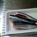 広島市安芸区チロママ's cooksnap of when they made コチュジャンと赤味噌韓国風いわしの甘辛煮.