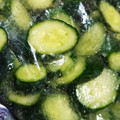 Mapoon's cooksnap of when they made 栗原はるみさん風 きゅうりのからし漬け.