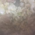 ma___111's cooksnap of when they made 焼鳥でチャーハン.