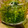 チャックねこ☆'s cooksnap of when they made シソのジェノベーゼソース.