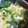 4kids◍•ᴗ•◍'s cooksnap of when they made ネギとたまごの鶏ガラスープ.