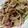 ami-rarara's cooksnap of when they made 豚こまの豆苗もやしのポン酢炒め.