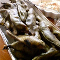 aimer's cooksnap of when they made 焼いただけぇの♪そら豆.