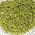 マカロンはは's cooksnap of when they made 山椒の実の下ごしらえ.