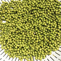 マカロンはは's cooksnap of when they made 山椒の実の下ごしらえ.