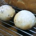 ameうめ's cooksnap of when they made 国産強力粉でヨーグルト生クリーム白パン.