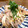 ✿ykyk✿'s cooksnap of when they made 豚肉★もやし★玉ねぎの梅肉炒め.