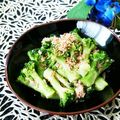 Dellaたん's cooksnap of when they made あと一品やお弁当に♪無限ブロッコリー.