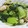 ちばたま's cooksnap of when they made シーフードミックスと野菜の中華炒め.