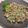 ジョンリークッカー's cooksnap of when they made 薬味たっぷり！あじのなめろう.