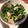 みっこ・みきてぃ's cooksnap of when they made 春菊・・・炒めるだけで美味しいよ!!.