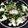 おやじCOOKING's cooksnap of when they made ブロッコリーでぶっかけ蕎麦.