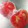 あたりめっこ's cooksnap of when they made 激簡単！お湯いらず！冷凍トマトの皮むき.