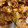 †ちぃ¢'s cooksnap of when they made 簡単！ほんのり甘いささみコーンの揚げ焼き.
