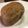 papikun's cooksnap of when they made 香る～紅茶食パン～.