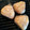 クックBNQ5PD☆'s cooksnap of when they made 簡単★ツナとさつまいもの炊き込みご飯.