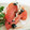 くっくペタ's cooksnap of when they made ★簡単・すぐ★トマトとわかめのサラダ.