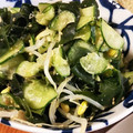 低カロ探検隊's cooksnap of when they made 簡単きゅうりとわかめでモヤシのナムル.