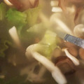 akihimekko's cooksnap of when they made レタスと生きくらげのスープ.