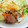 へぼのん's cooksnap of when they made キャベツとカリカリベーコンのマヨ炒め.