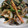 マリアモニカ's cooksnap of when they made いわしと野菜のピリ辛炒め.