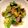 ｙｏｕ５'s cooksnap of when they made すぐ一品☆チンゲン菜と卵の中華炒め.