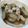 すまいるはっぴー's cooksnap of when they made 鶏肉とさつまいもの甘辛煮.