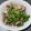 ﾁｮｺﾁｯﾌﾟ☆'s cooksnap of when they made 豚こまとアスパラのオイスターソース炒め.