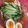 しんたぬきっ子's cooksnap of when they made ダイエットに！野菜たっぷりしらたき冷麺.