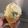 クックY5HODJ☆'s cooksnap of when they made 自家製★共立て濃厚アイスクリーム.