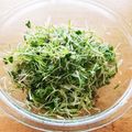 ひーちゃんママ♪'s cooksnap of when they made 夏に常備してる香味野菜.