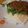 i9ra's cooksnap of when they made 菜の花と豆腐の肉味噌がけ.