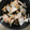 クックPP8FZL☆'s cooksnap of when they made 簡単かぶの浅漬け.