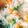 aceman's cooksnap of when they made ＊シンプルな野菜のお粥＊.