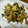 なっちゃん３１１'s cooksnap of when they made きくらげ卵豚炒め.
