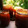 k486y2562's cooksnap of when they made この季節に　あんずジャム.