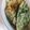 ハニイとムサシ's cooksnap of when they made 小松菜入りだし巻き玉子.
