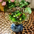 ☆なあなクック☆'s cooksnap of when they made 和風。ニラ 身欠きニシン塩麹和え.