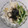クックかわまい's cooksnap of when they made 長芋ときゅうりのさっぱり副菜.