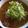 よっよ's cooksnap of when they made カレーうどん.