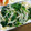 ばんぷ☆'s cooksnap of when they made ♡簡単！もやしとほうれん草のお浸し♡.