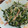 クックVOY1Q3☆'s cooksnap of when they made もやしとニラのオイスター蒸し☆.