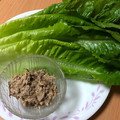 胡椒煎餅's cooksnap of when they made 簡単！ロメインレタスの鯖味噌缶マヨ添え♪.