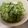 クック6VJ712☆'s cooksnap of when they made 超簡単にもう一品☆しらすきゅうり☆.