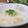 noamanma's cooksnap of when they made すし酢で作る♫♬長いもの酢の物.