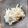ボブナナ's cooksnap of when they made 基本のイカ刺し.