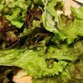 ユーロン's cooksnap of when they made 1分で簡単！おいしい！サニーレタスサラダ.