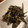 クックMLT047☆'s cooksnap of when they made 優しい甘さ！黒砂糖で田作り.