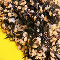 67luna's cooksnap of when they made 鶏玉そぼろとひじきの炒め煮.