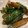 muta♪♪♪♪♪'s cooksnap of when they made きゅうりの絶品たまり漬け☆.
